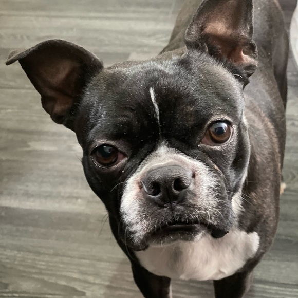 Meet your Posher, Darren - Picture 1 of 1